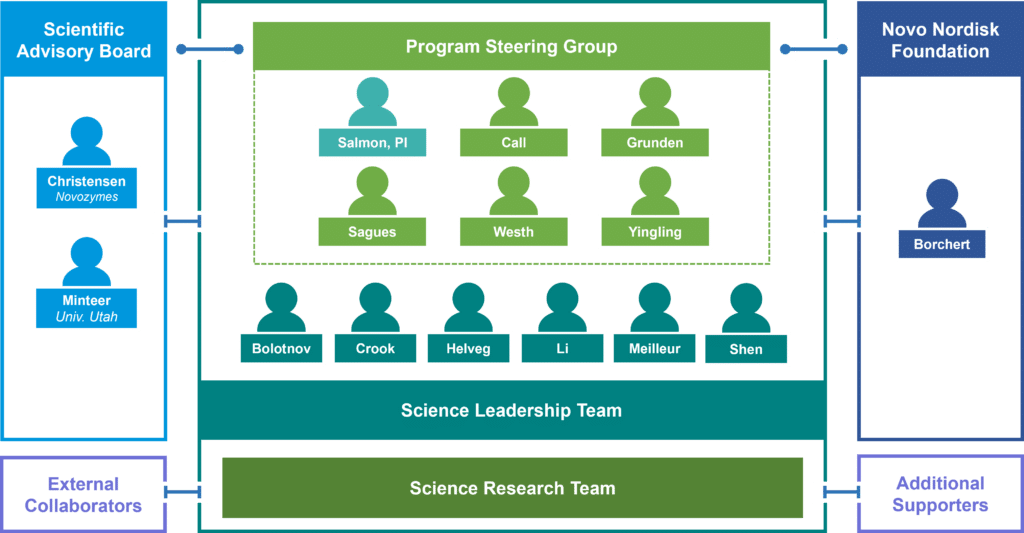 An organization diagram of the BIG team