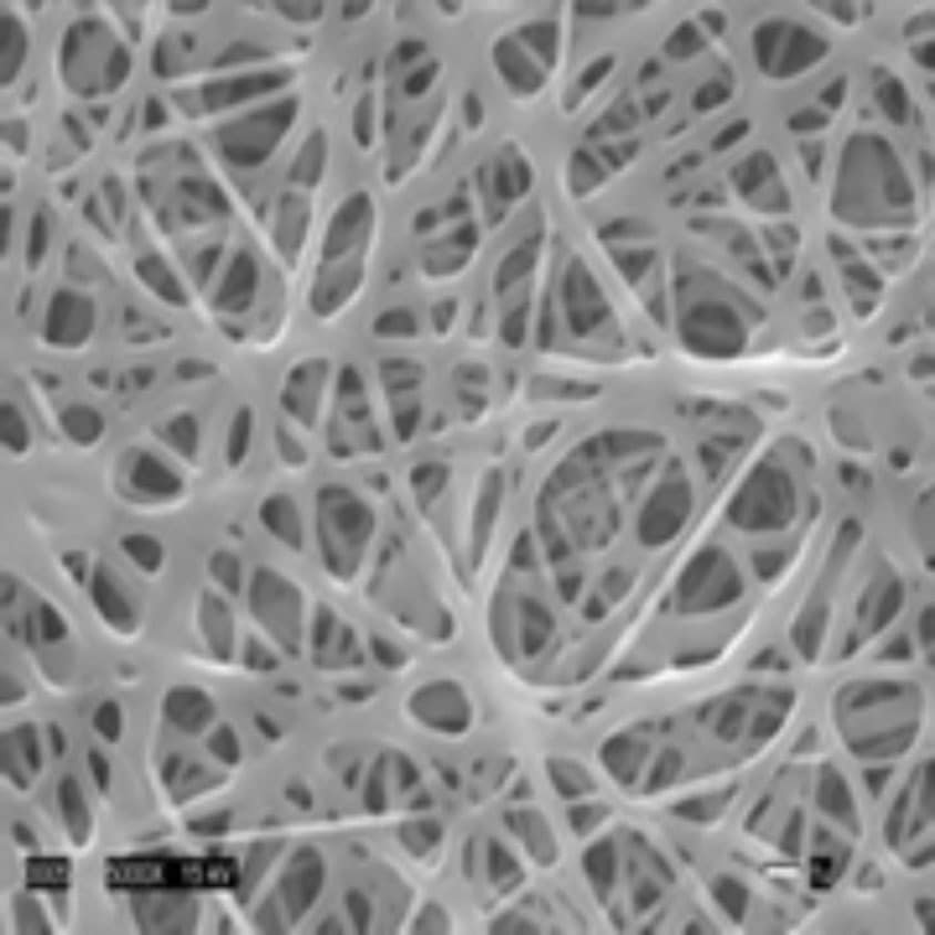 Tissue Engineering Scaffolds