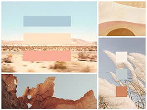 Marisa Pridgen: REWILD