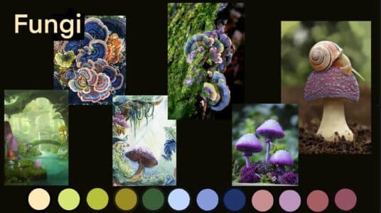 Fungi Moodboard