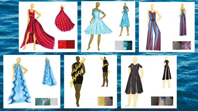Brooklyn Franke's collection