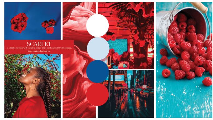 Deja Herelle's mood board