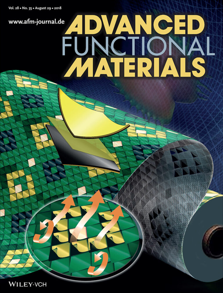 Advanced Functional Materials, Volume 28, No. 35, August 2018 Publication: Bioinspired Electrically Activated Soft Bistable Actuators