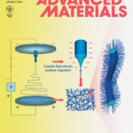 Sun, X.-Y., Shankar, R., Börner, H.G., Ghosh, T.K., and Spontak, R.J., 