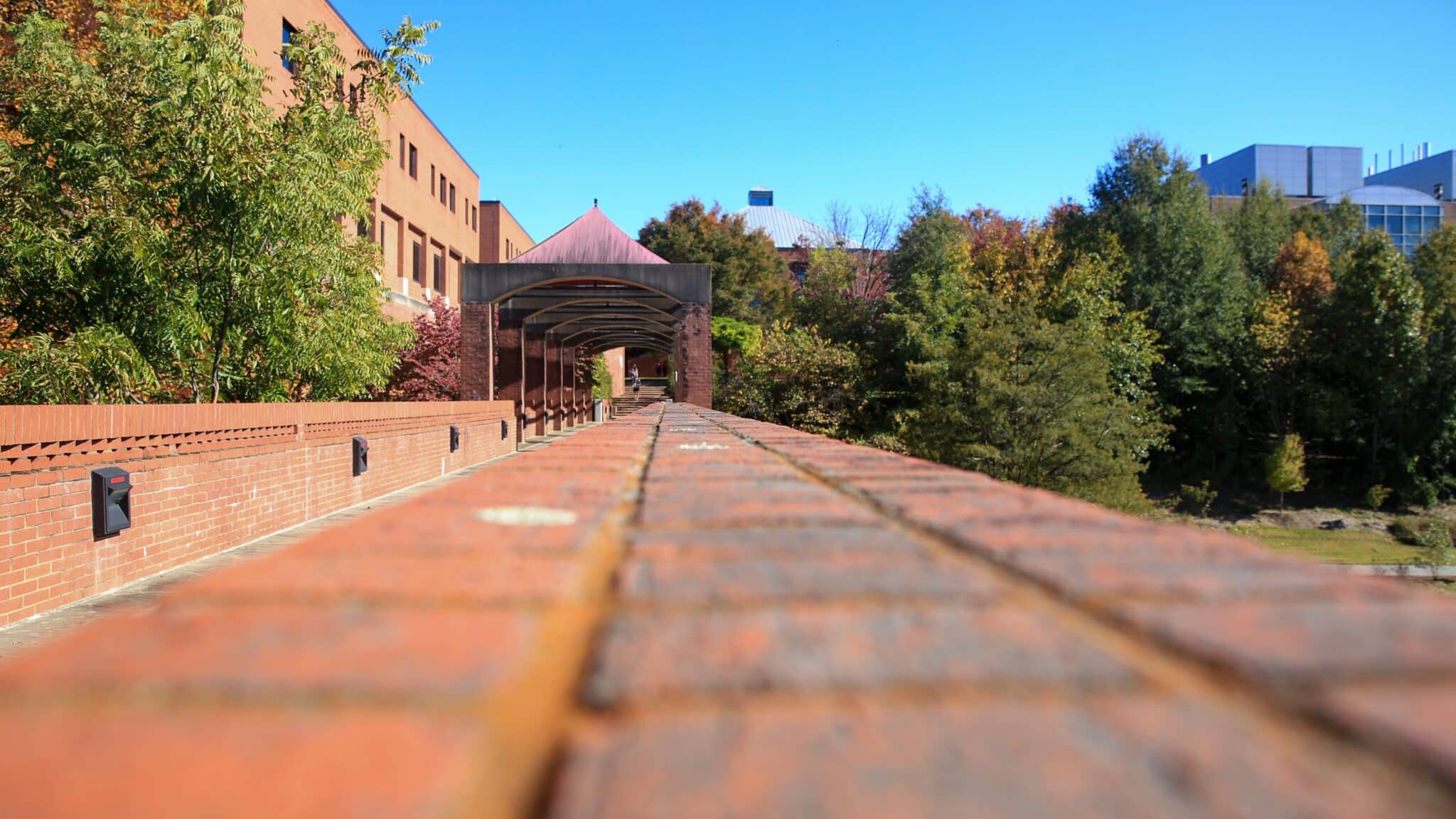 Meet the Wilson College of Textiles Students Awarded the VF Foundation