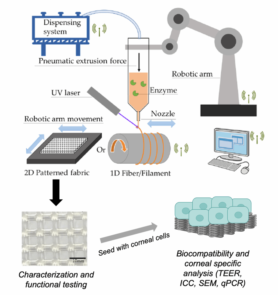 Fibrous Integrative Biomaterials Education and Research