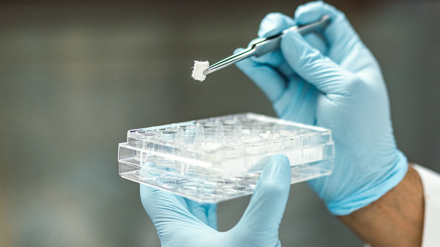 A person wearing blue gloves holds a clear plastic multi-well plate in one hand and uses tweezers to handle a small white textile sample with the other hand, in a laboratory setting.