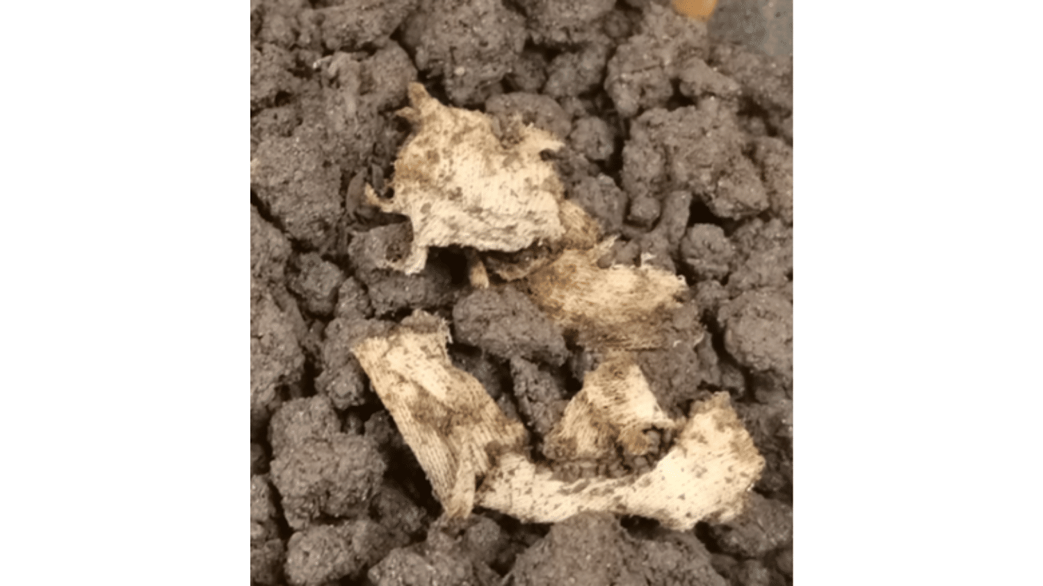 Soil degradation by textile dyes