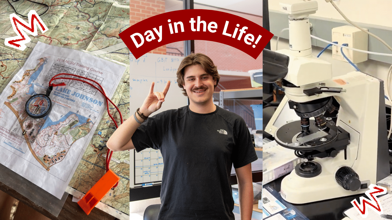 Collage of Landyn Hartman showing the Wolfpack symbol with his hands and various lab and backpack equipment behind him with a banner that says Day in the Life!
