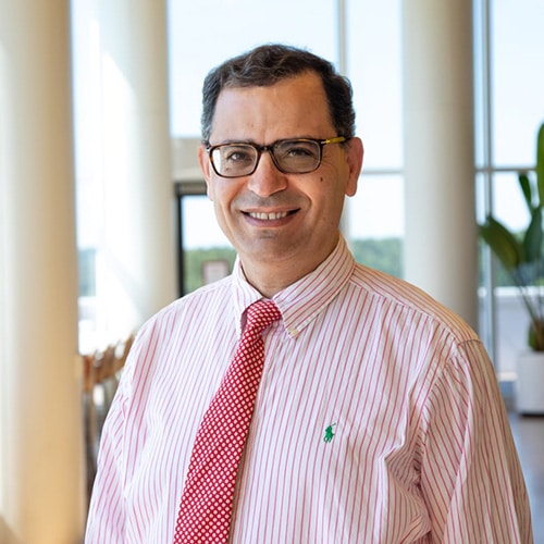 Ahmed El-Shafei